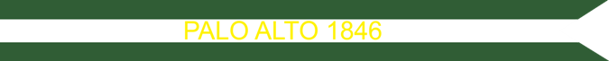 US Army Mexican War Campaign Streamer palo Alto 1846 US Army Mexican War Campaign Streamer palo Alto 1846